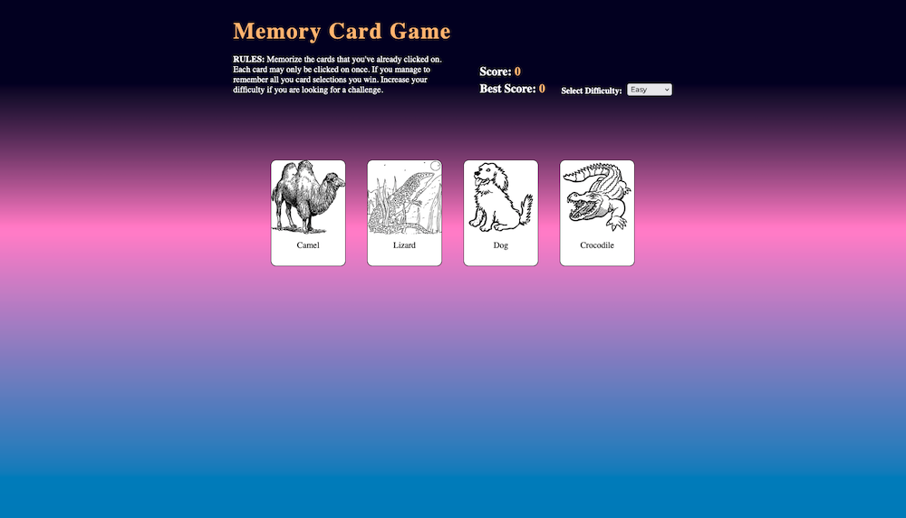 Memory Card Image